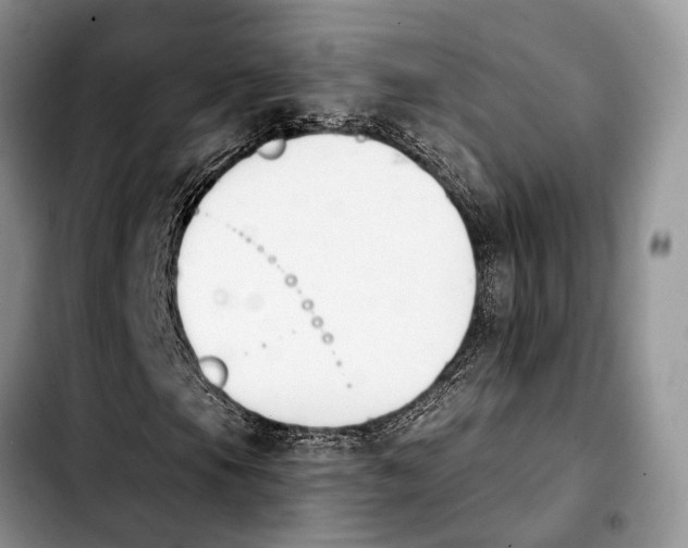 X0000103931105200810101347