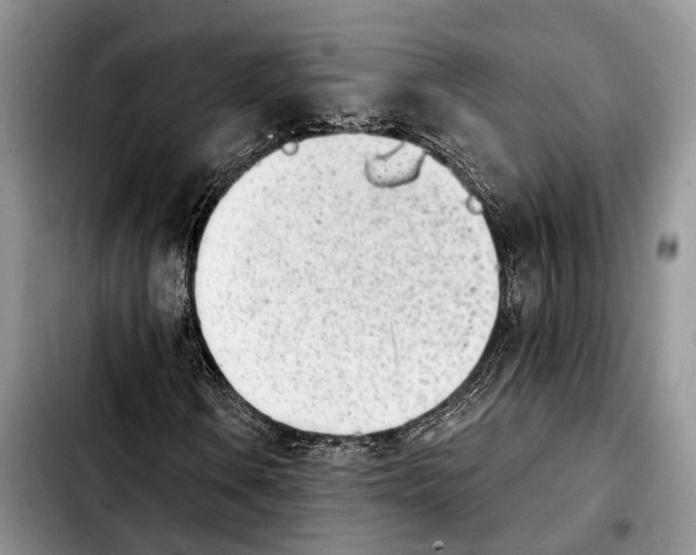 X0000103931106200810101347