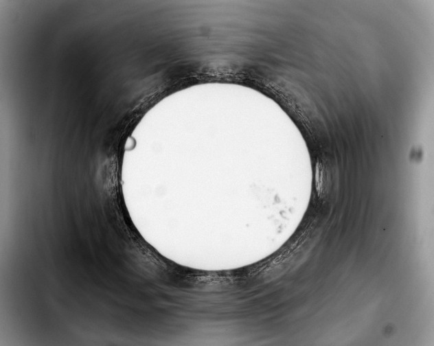 X0000103931107200810101347