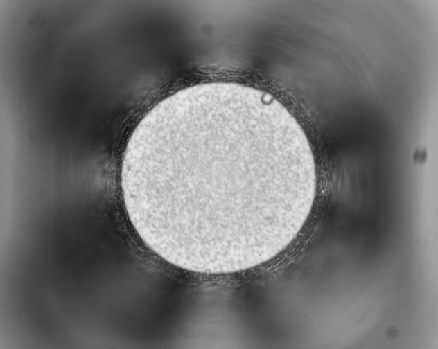 X0000103931108200810101347