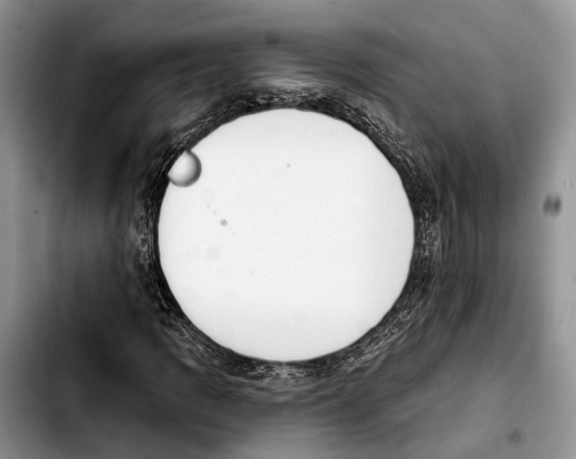 X0000103931109200810101347