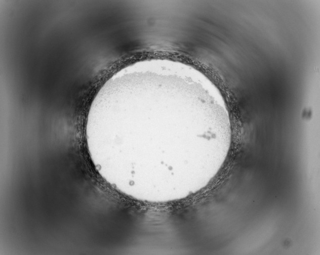 X0000103931110200810101347