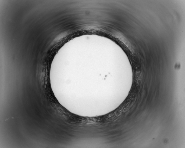 X0000103931111200810101347