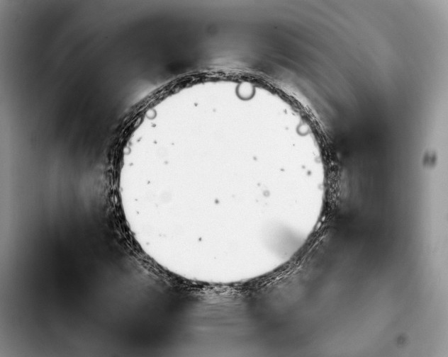 X0000103931112200810101347