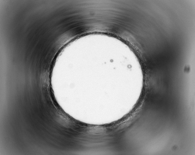 X0000103931113200810101347