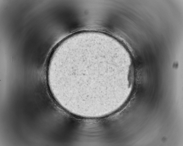 X0000103931114200810101347