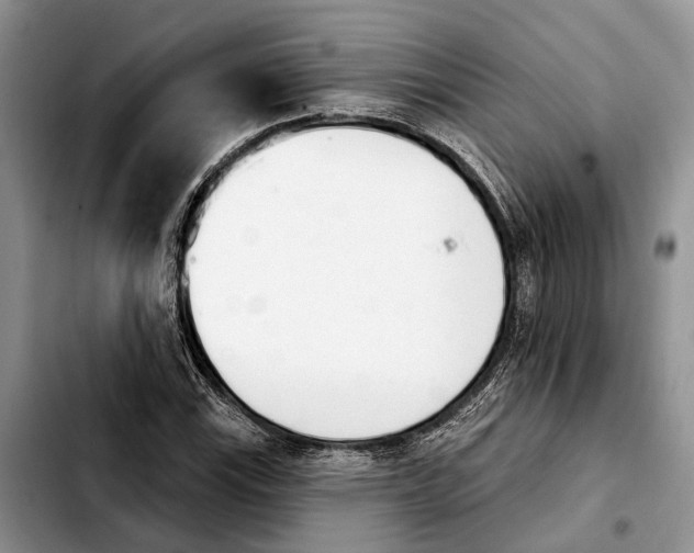 X0000103931115200810101347