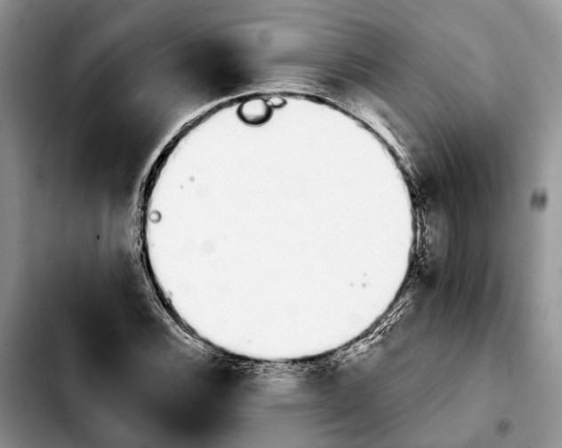 X0000103931116200810101347