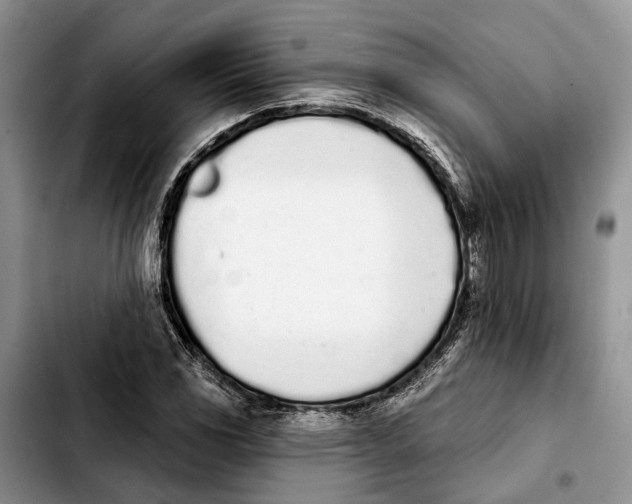 X0000103931117200810101347