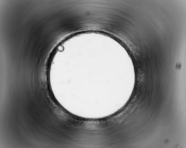 X0000103931118200810101347