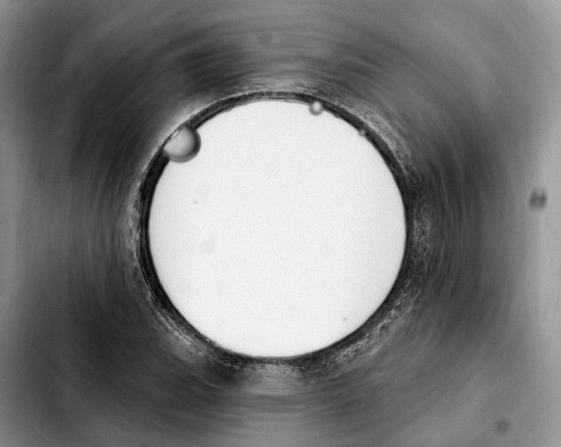 X0000103931119200810101347