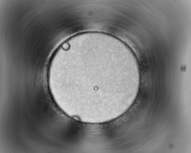 X0000103931120200810101347