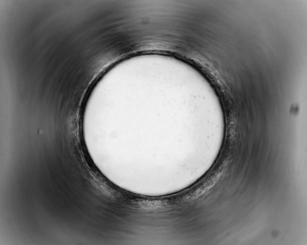 X0000103931121200810101347