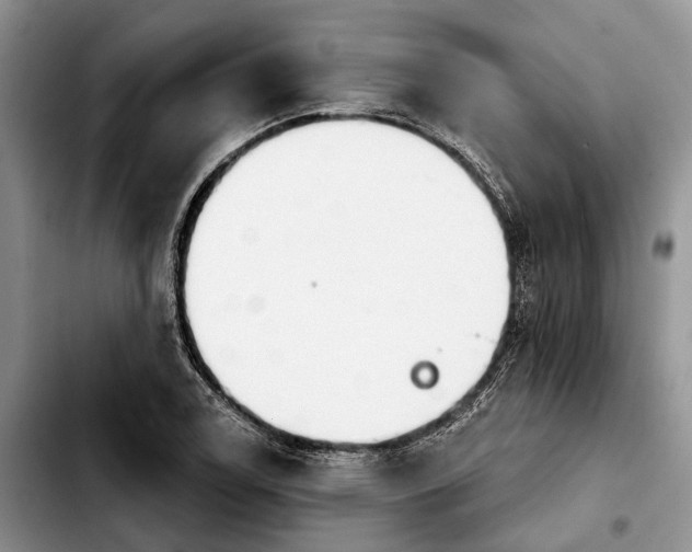 X0000103931122200810101347