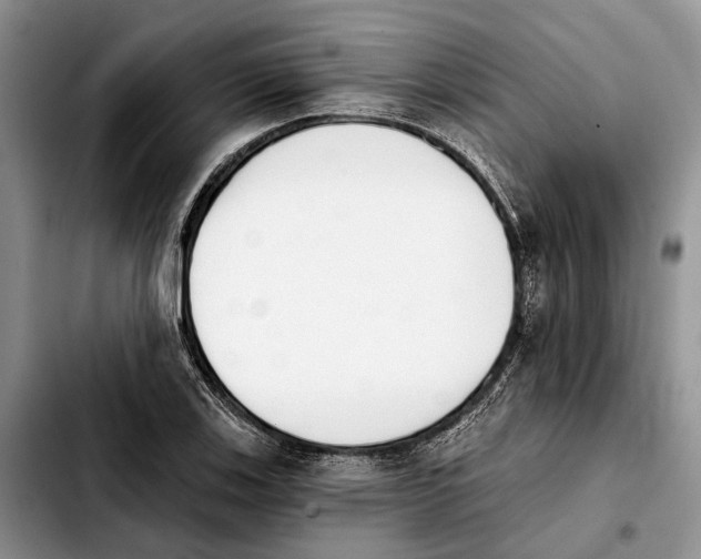 X0000103931123200810101347