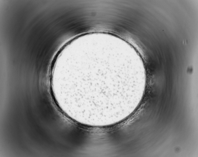 X0000103931124200810101347