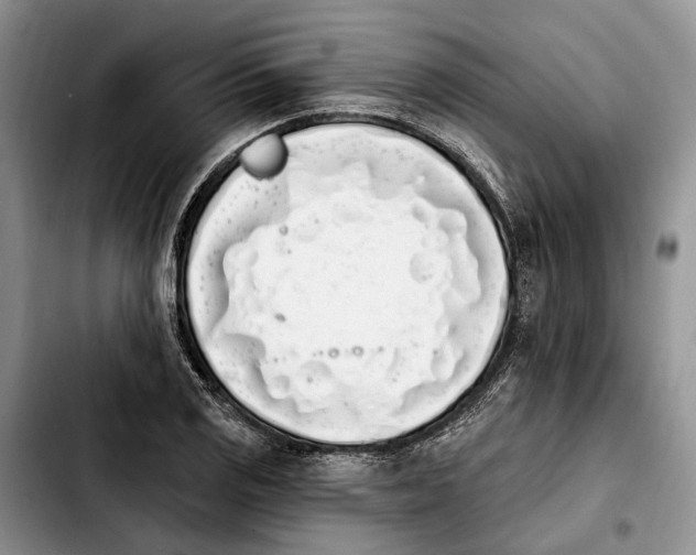 X0000103931125200810101347