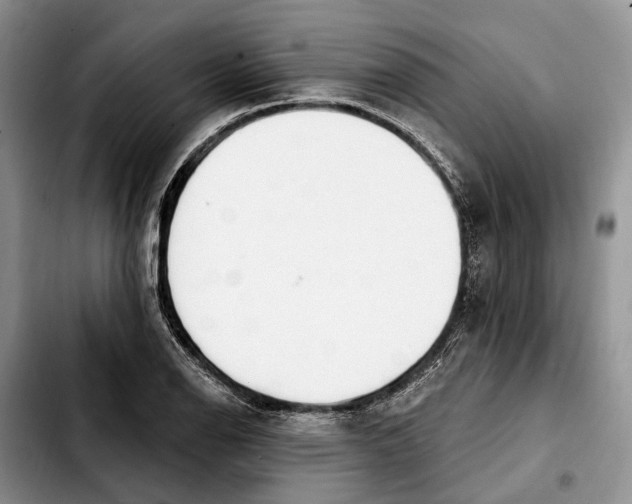 X0000103931126200810101347