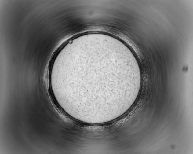 X0000103931127200810101347