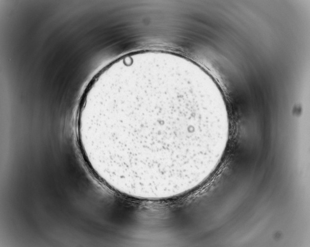 X0000103931128200810101347