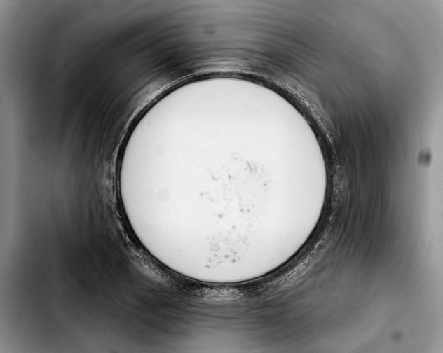 X0000103931129200810101347