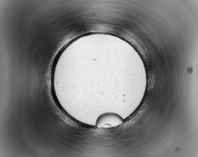 X0000103931130200810101347