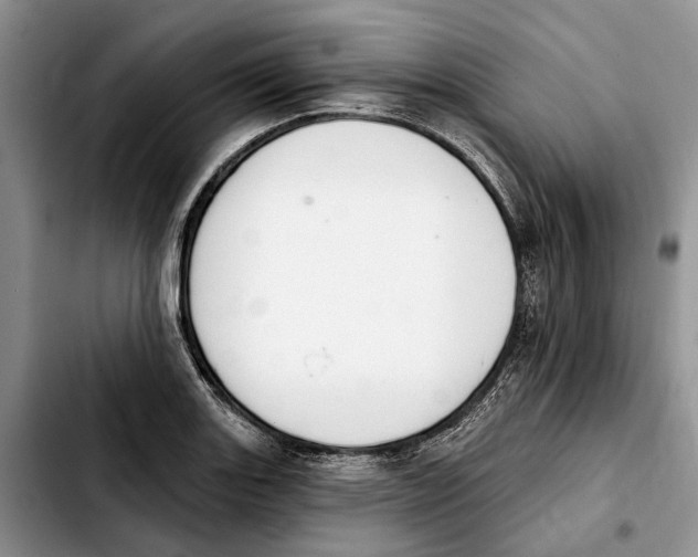 X0000103931131200810101347