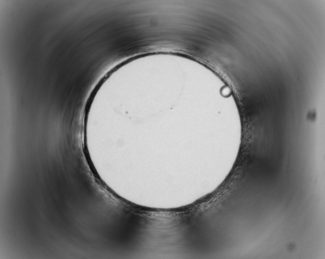 X0000103931132200810101347