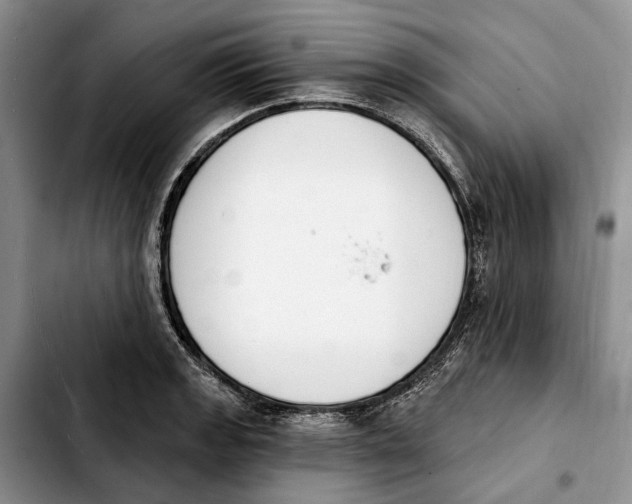 X0000103931133200810101347