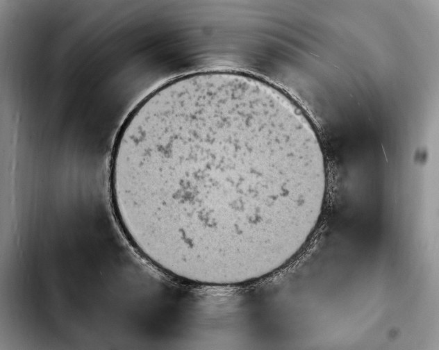 X0000103931134200810101347