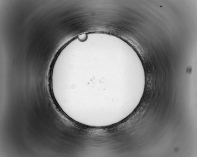 X0000103931135200810101347