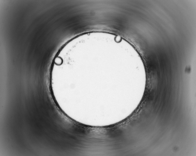 X0000103931136200810101347