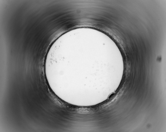 X0000103931137200810101347