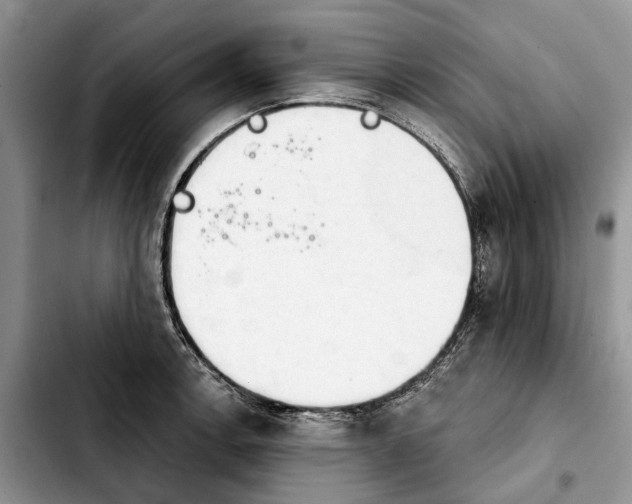 X0000103931138200810101347