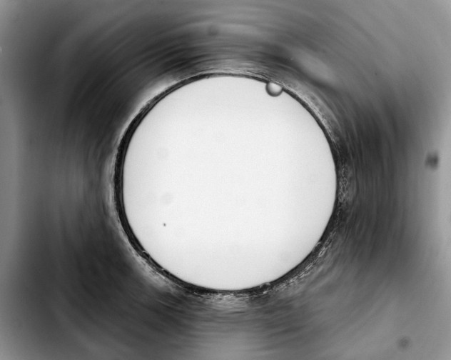 X0000103931139200810101347