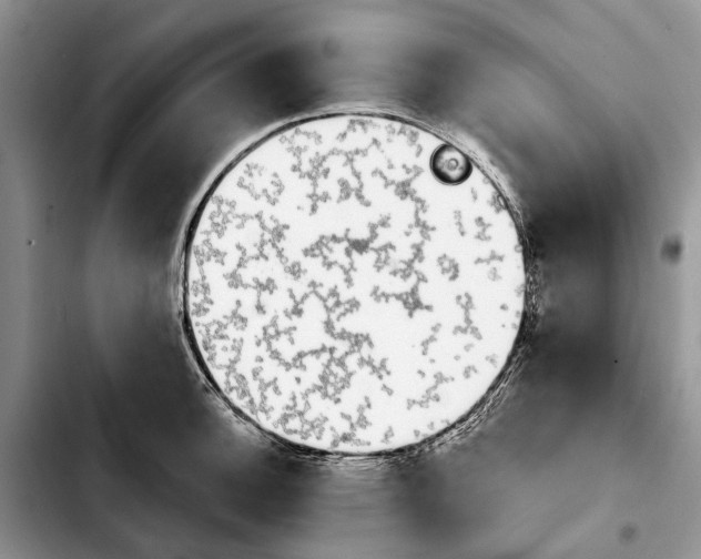 X0000103931140200810101347