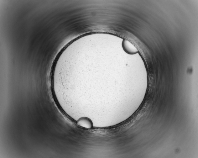 X0000103931141200810101347