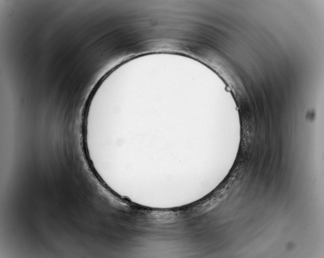 X0000103931142200810101347