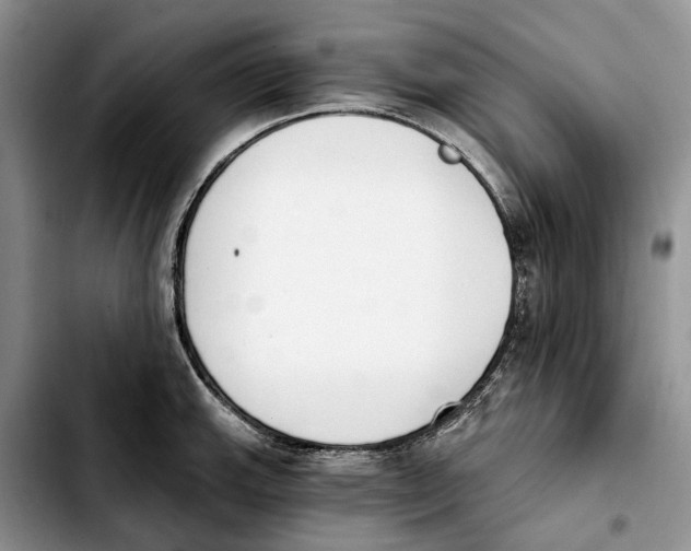 X0000103931143200810101347