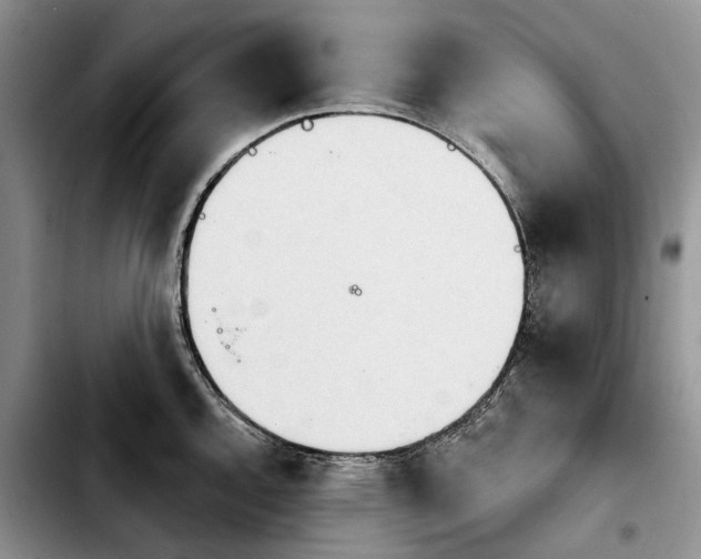 X0000103931144200810101347