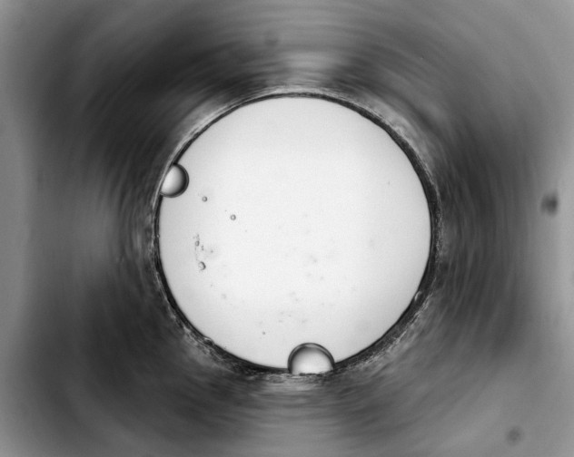 X0000103931145200810101347