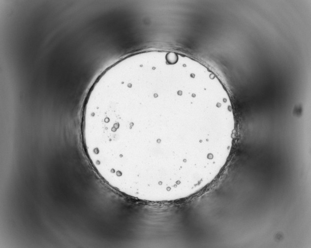 X0000103931146200810101347