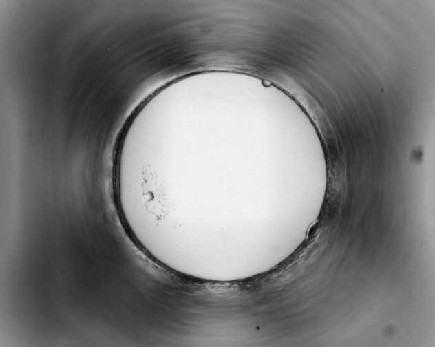 X0000103931147200810101347