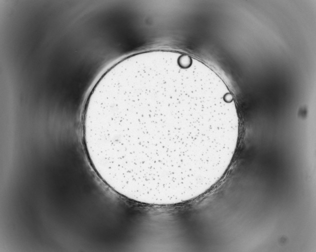 X0000103931148200810101347