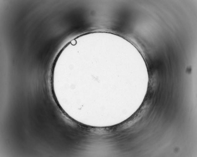 X0000103931149200810101347