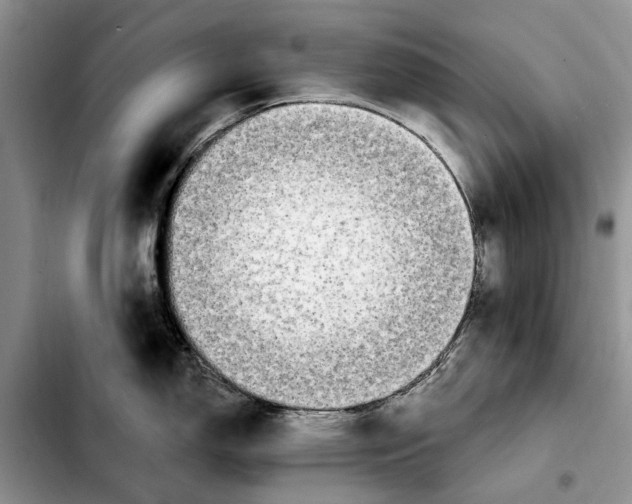 X0000103931150200810101347