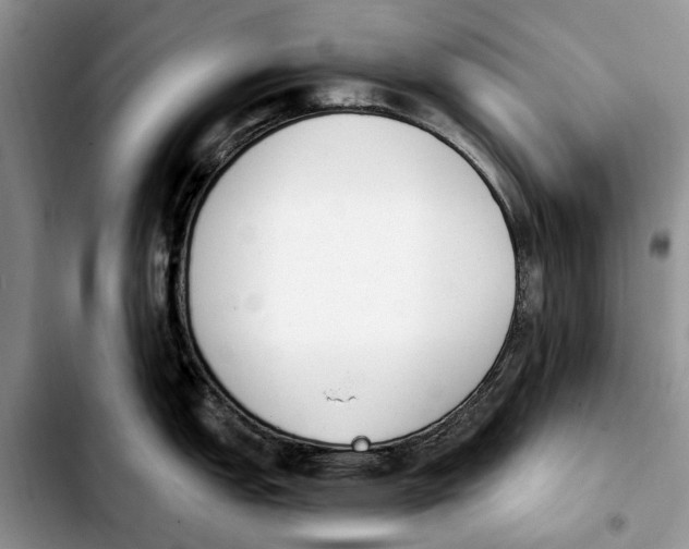 X0000103931151200810101347