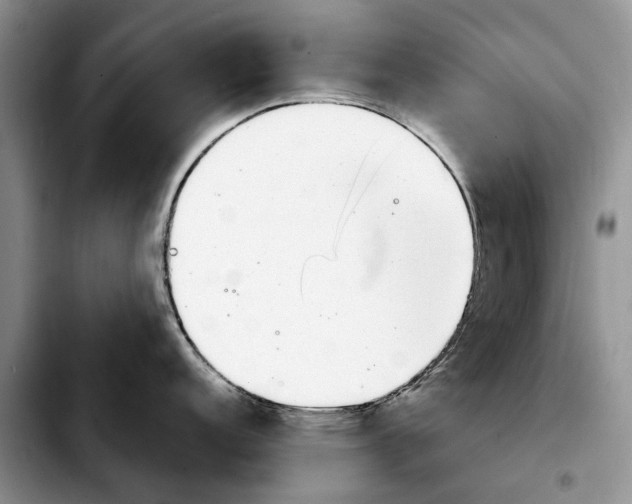 X0000103931152200810101347