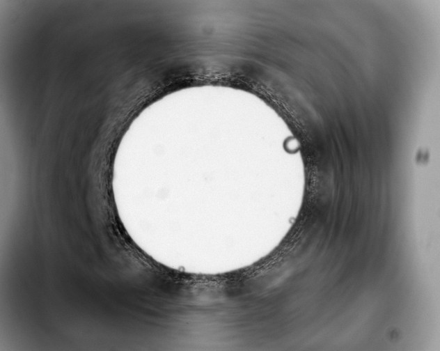 X0000103931153200810101347