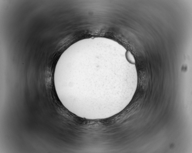 X0000103931154200810101347